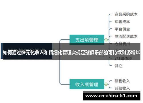 如何通过多元化收入和精细化管理实现足球俱乐部的可持续财务增长