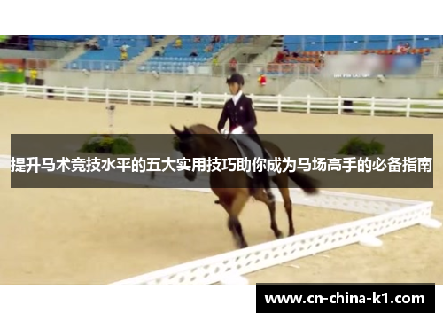 提升马术竞技水平的五大实用技巧助你成为马场高手的必备指南