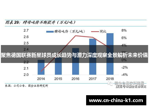 聚焦德国联赛新星球员成长趋势与潜力深度观察全景解析未来价值