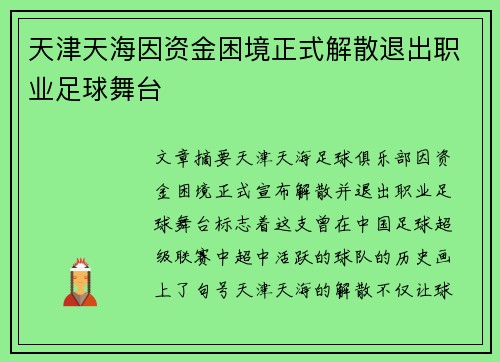 天津天海因资金困境正式解散退出职业足球舞台 天津天海因资金困境正式解散退出职业足球舞台